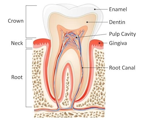 root canal treatment in Agra 